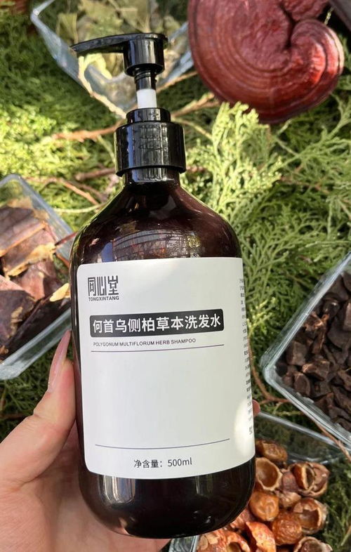 告別脫發困擾！2024平價防脫育發產品盤點，這四款值得一試