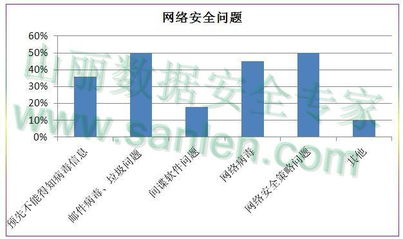 網絡信息安全全面剖析 以核心防護應對多樣威脅，構建安全軟件開發新范式
